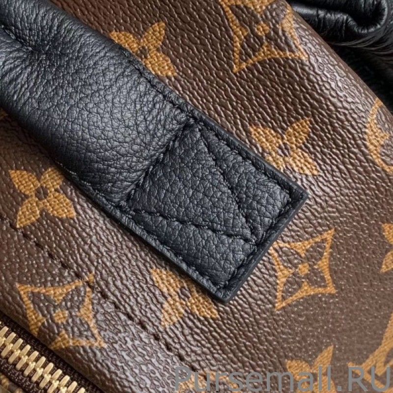 Palm Springs PM Backpack Monogram Canvas M44870